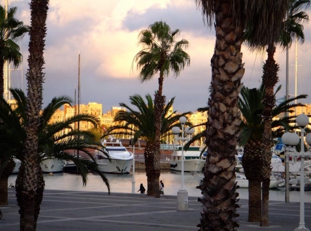  Blick auf den Pier 
